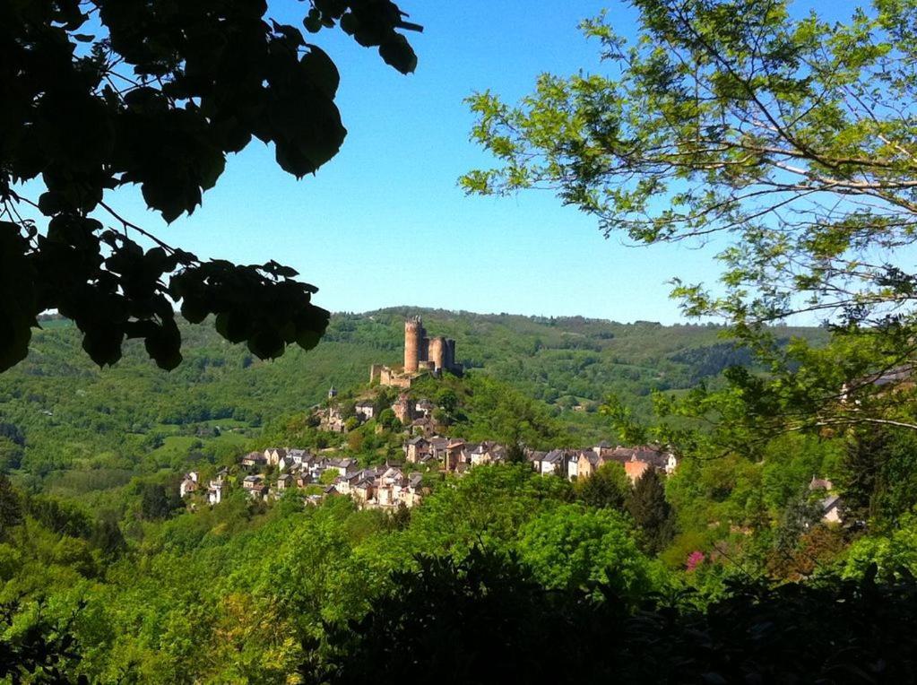Chambre D Hotes Avec 2 Petits Dejeuners Ou Gite Najac Exterior foto